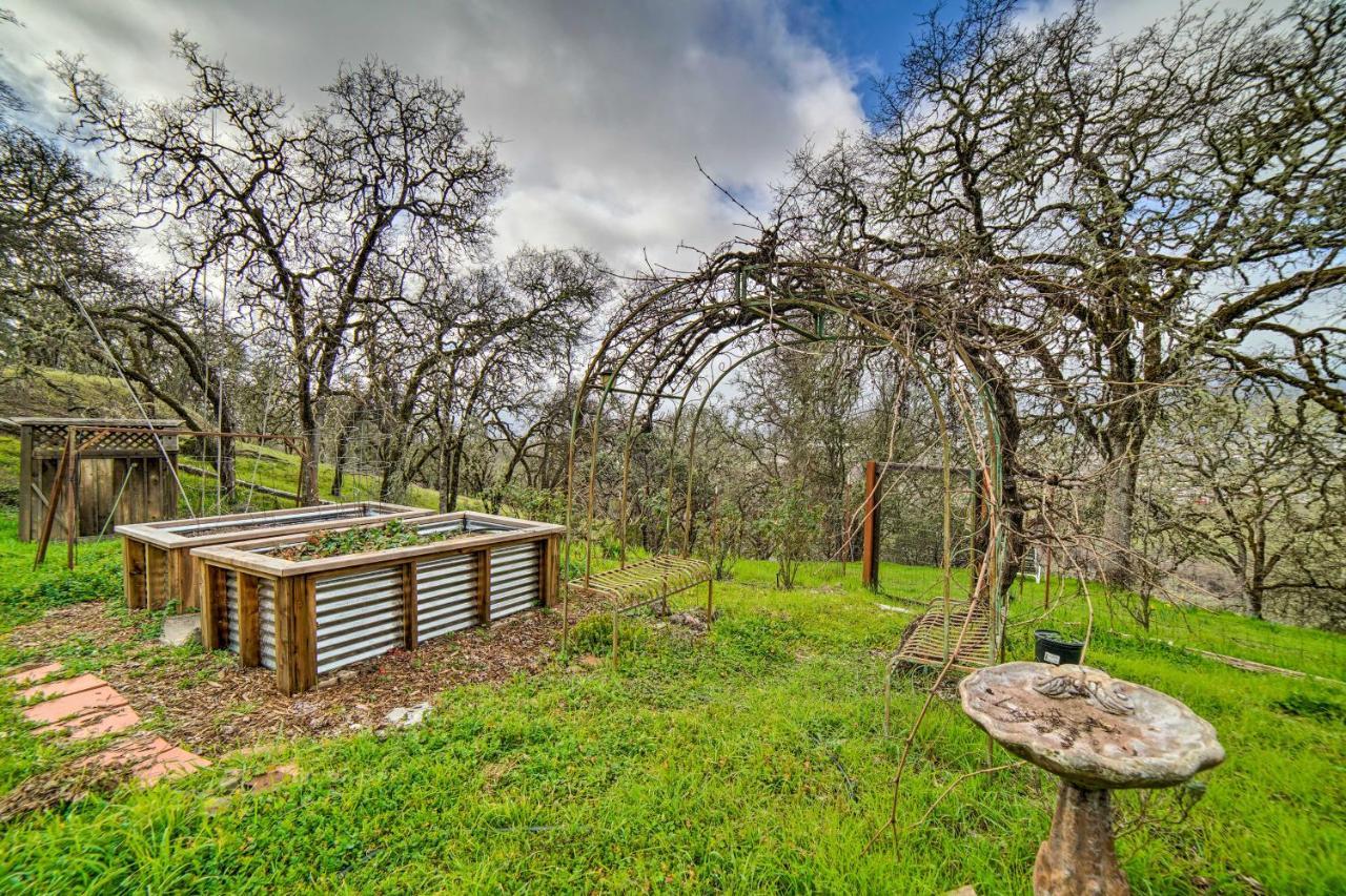 Hilltop Loft Ukiah Vacation Rental! Exteriér fotografie